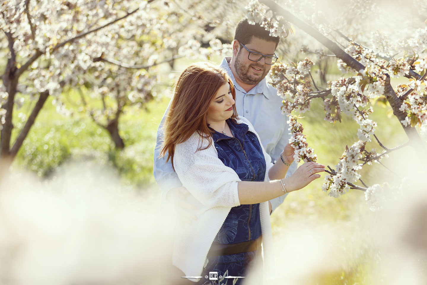 preboda-con-cerezos-en-flor