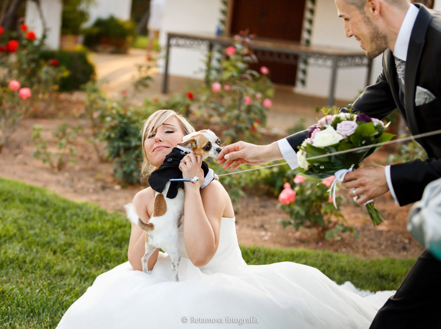 Mascotas en a boda